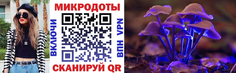 Галлюциногенные грибы MAGIC MUSHROOMS  Трубчевск 