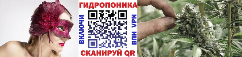 Конопля индика  Трубчевск 